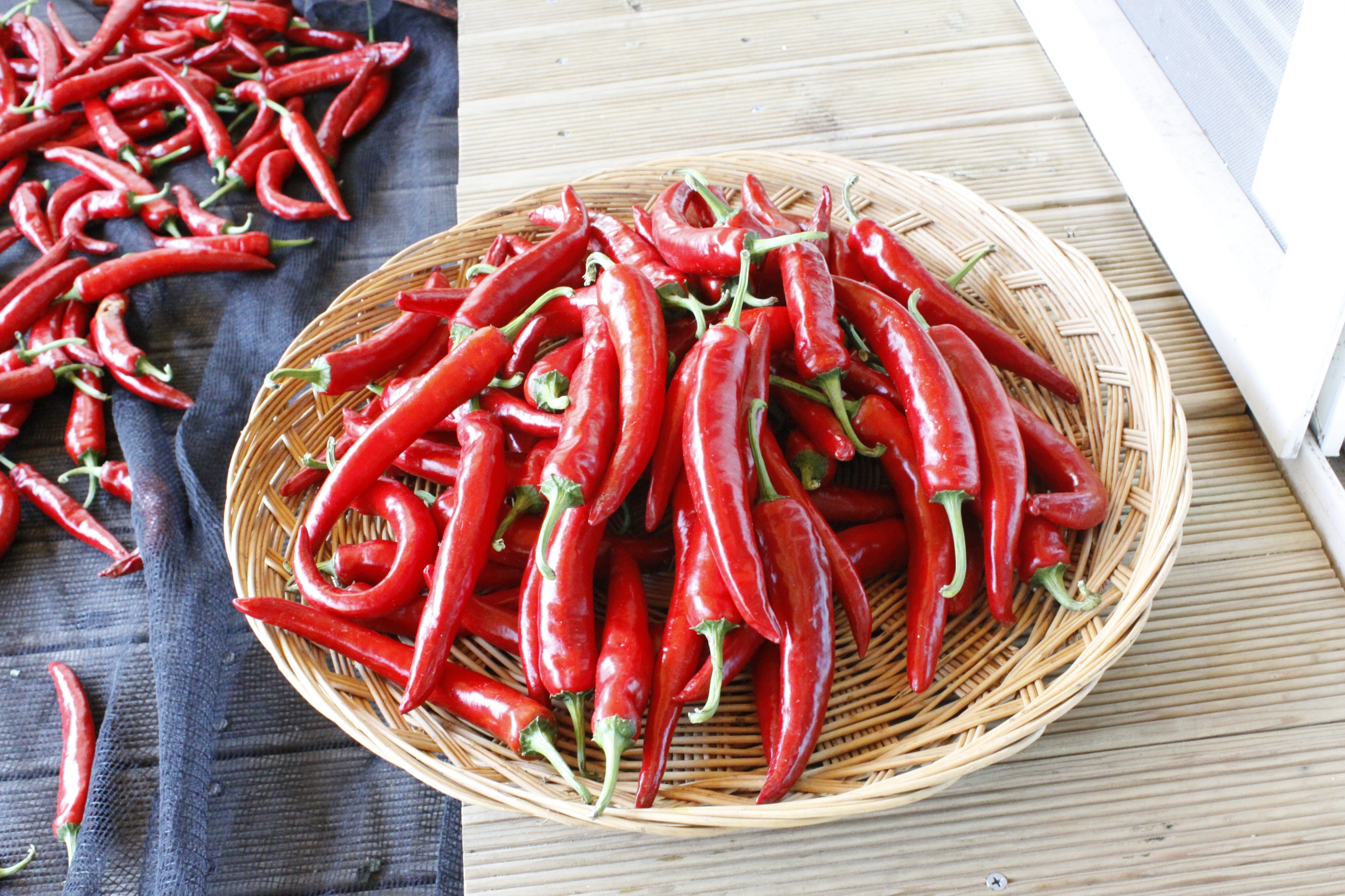 Red chili peppers in a basket