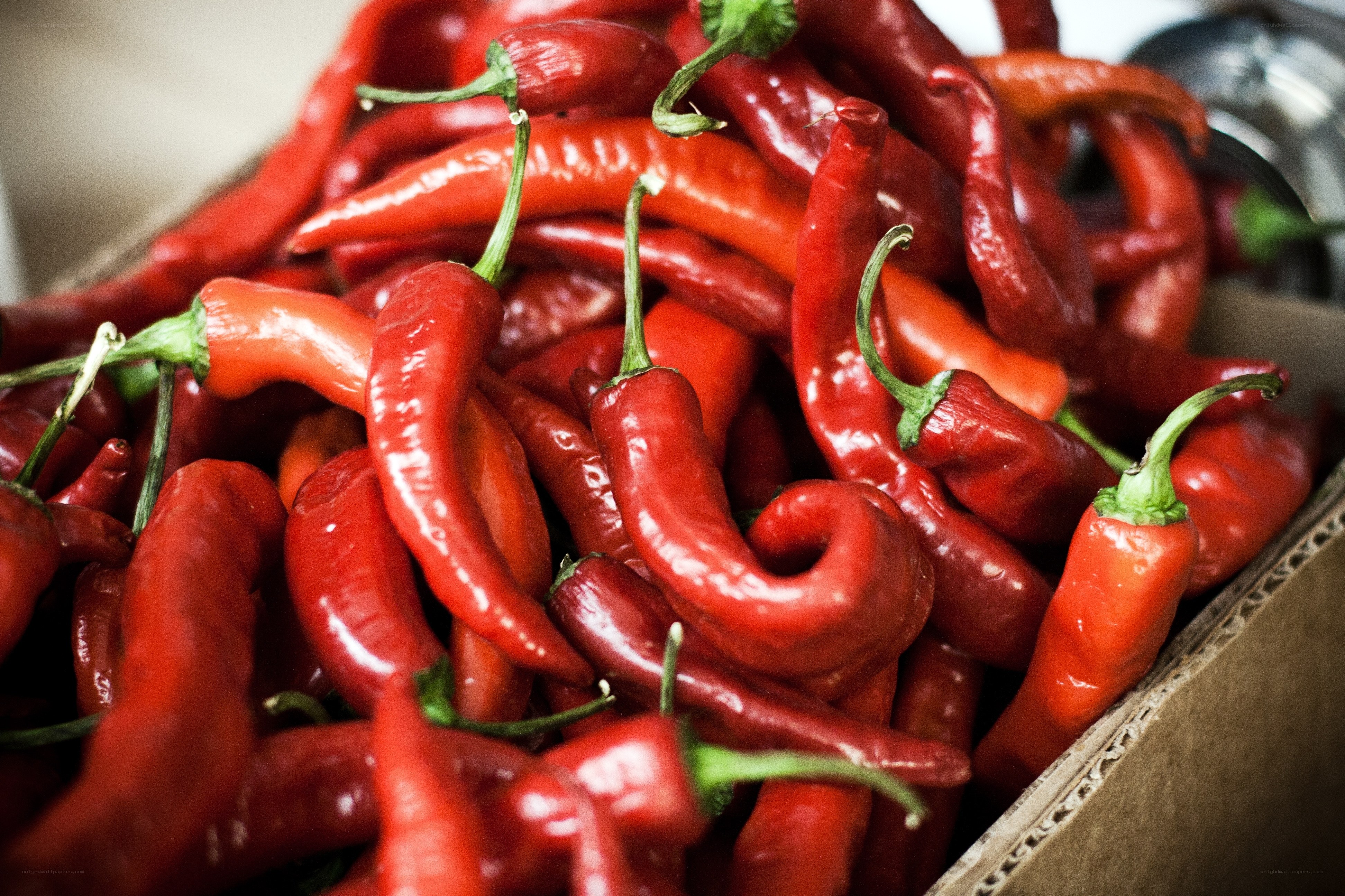 Red chili peppers in a box