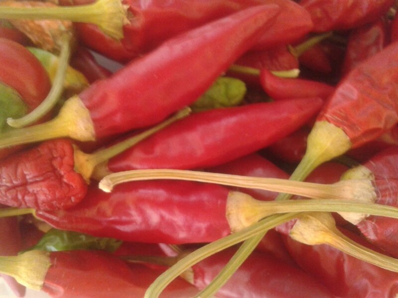 Red Chili Peppers — Natural