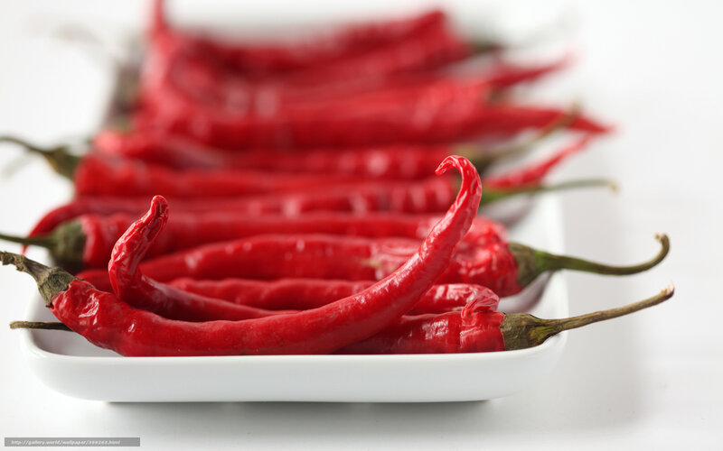 Red Chili Peppers — Neutral, Photograph, Plate