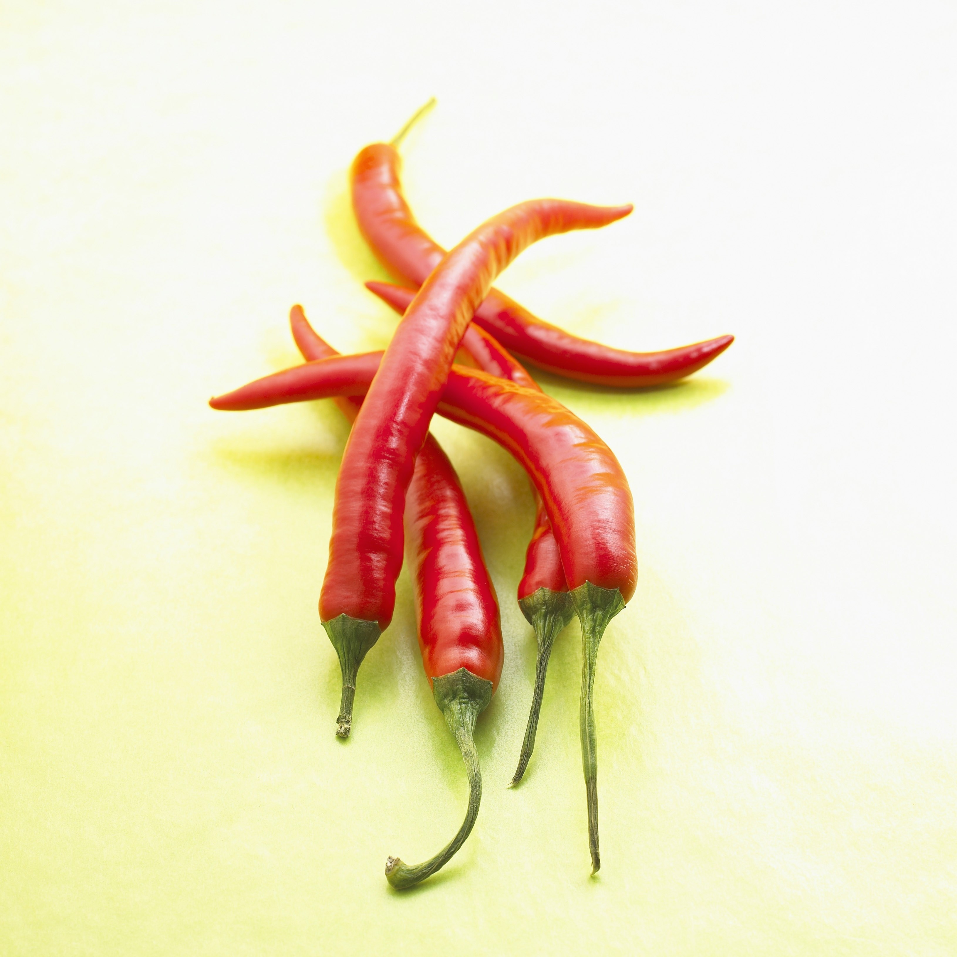 Red chili peppers on white