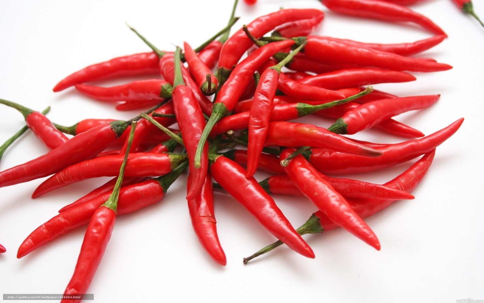 Red chili peppers on white