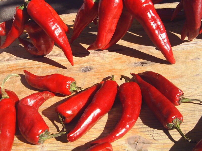Red chili peppers on wood