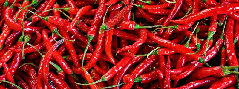 Red Chili Peppers — Vibrant