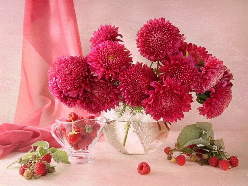 Red Chrysanthemums and Raspberries — Pink