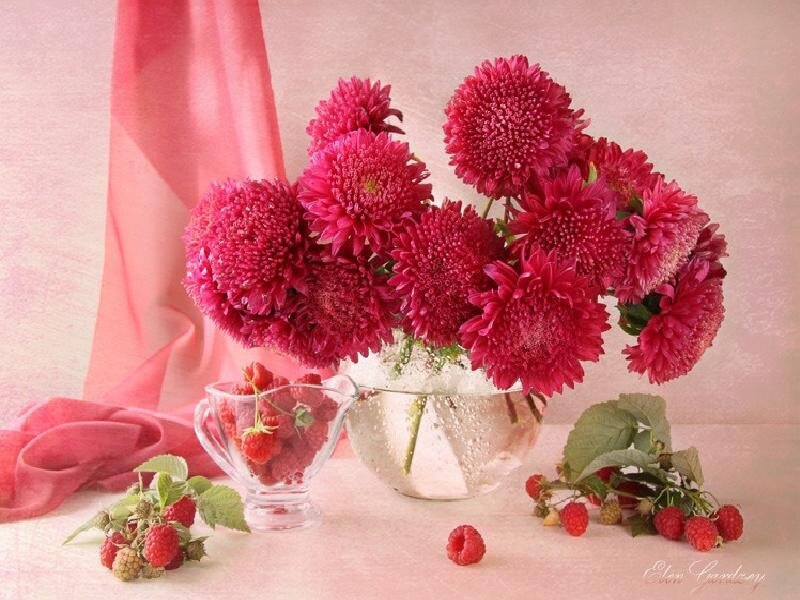 Red Chrysanthemums and Raspberries