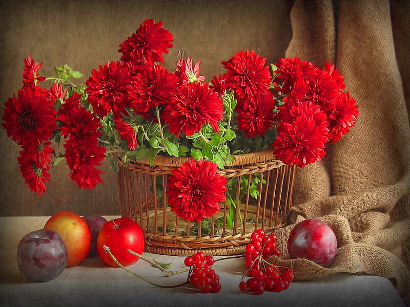 Red Chrysanthemums in Basket