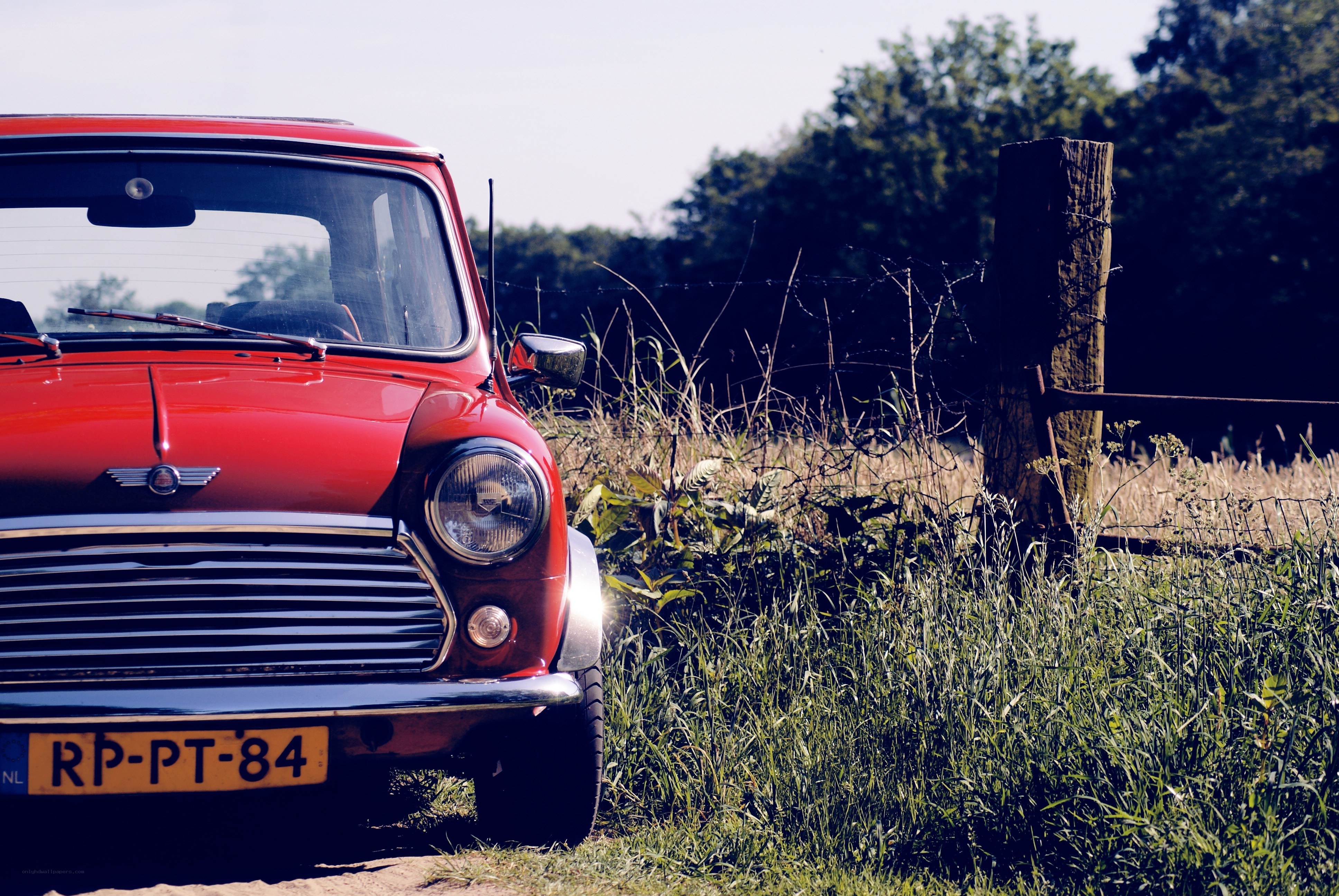 Red classic car in a field