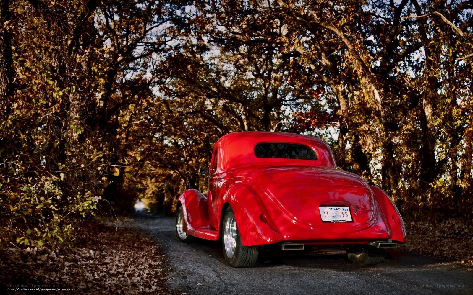 Red classic car on a forest road