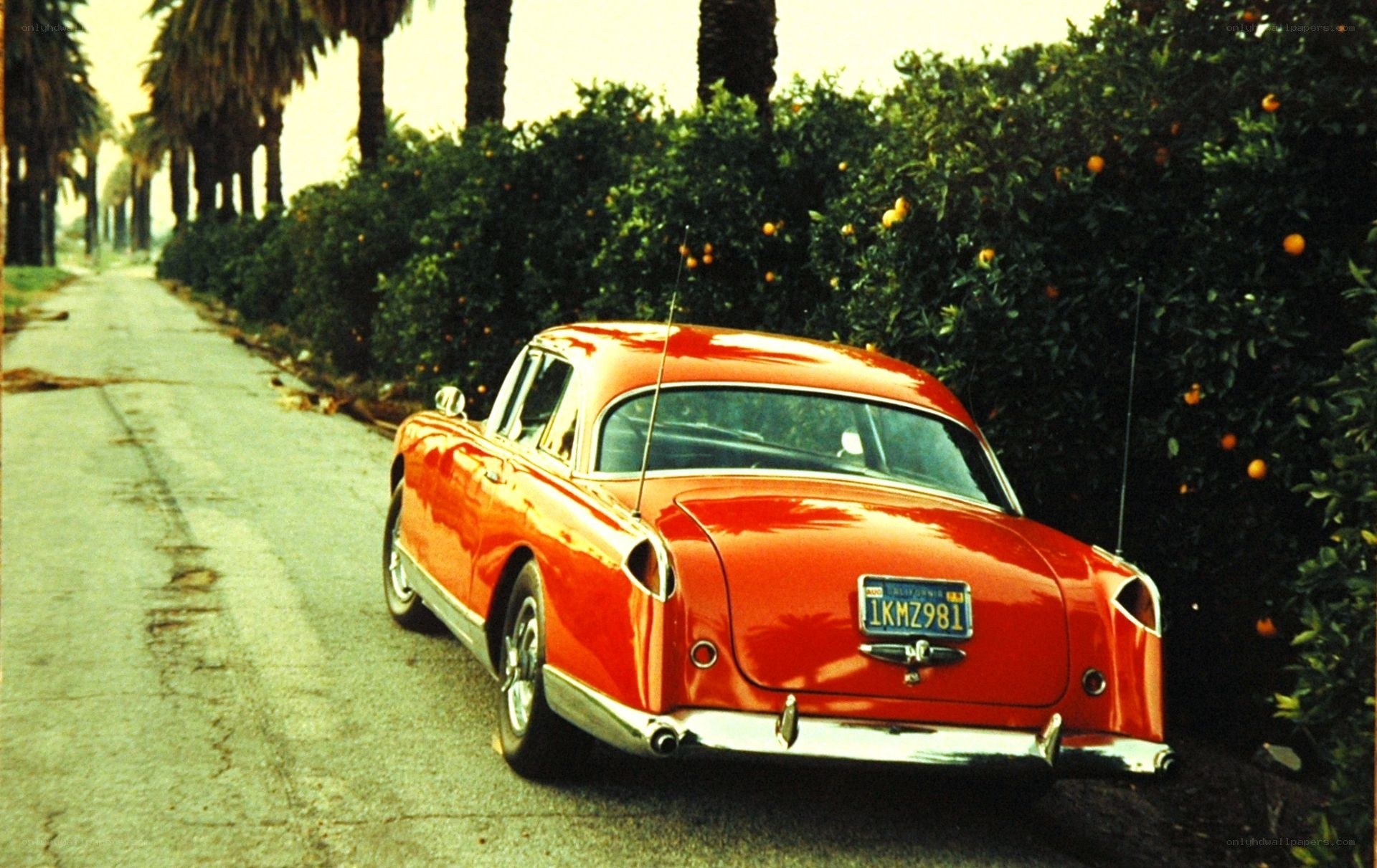 Red classic car on a palm-lined road