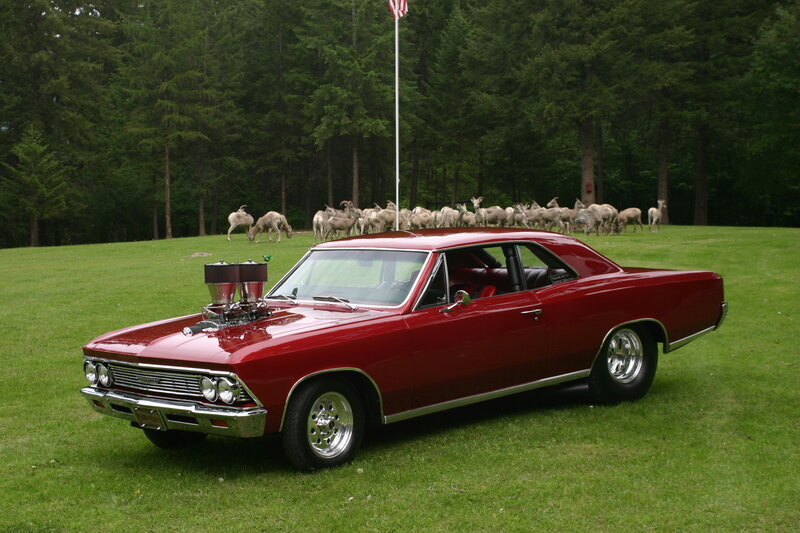 Red Classic Car — Serene, Afternoon, Photograph, Deer
