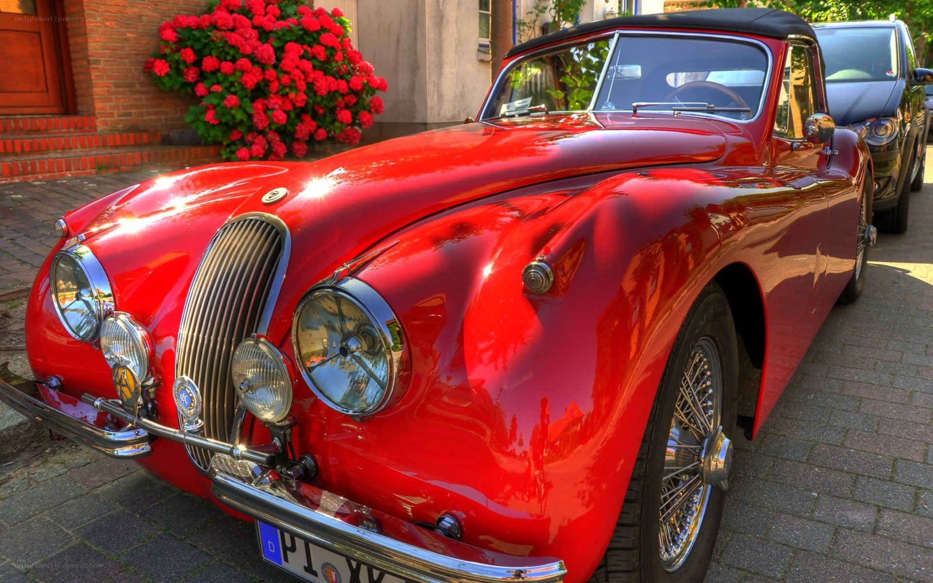 Red classic convertible car