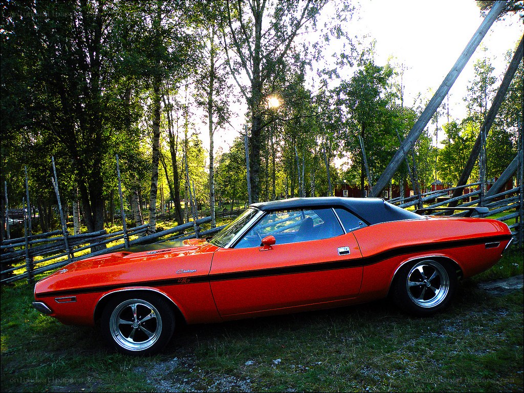 Red classic convertible in forest