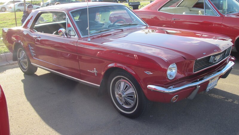 Red Classic Mustang — Calm, Afternoon, Photograph, Car Show