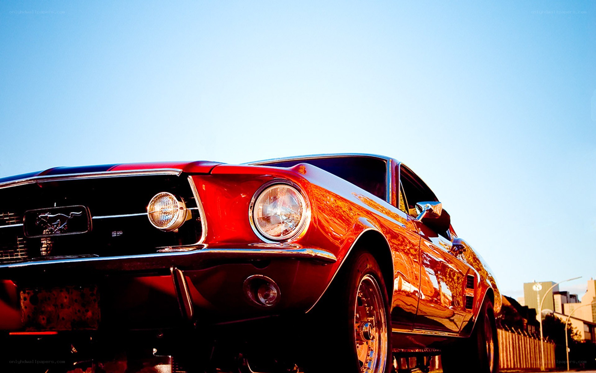 Red classic Mustang car