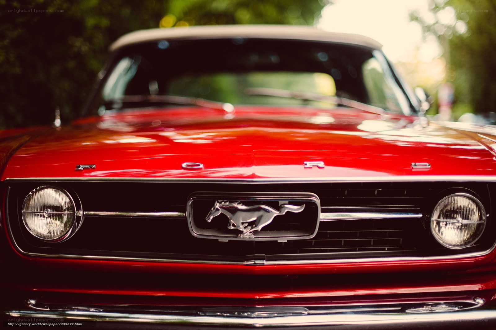 Red classic Mustang front view