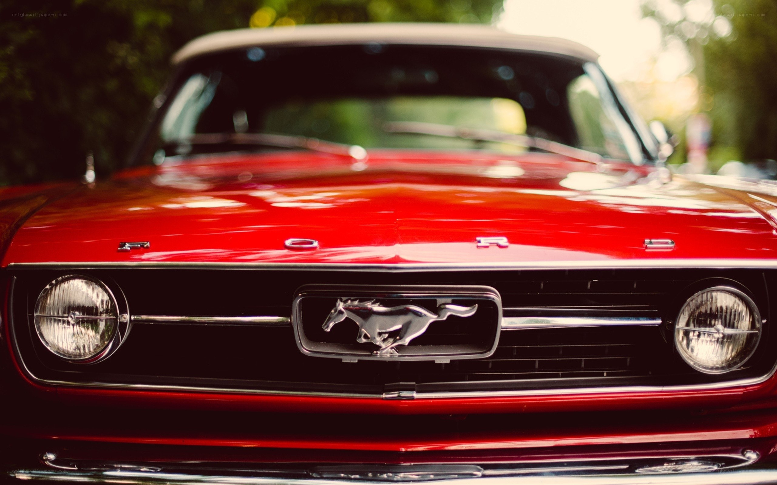 Red classic Mustang front view