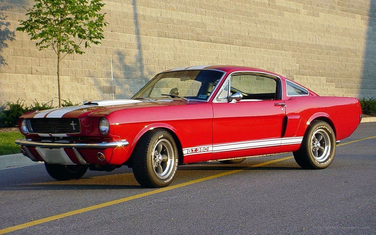 Red classic Mustang GT350