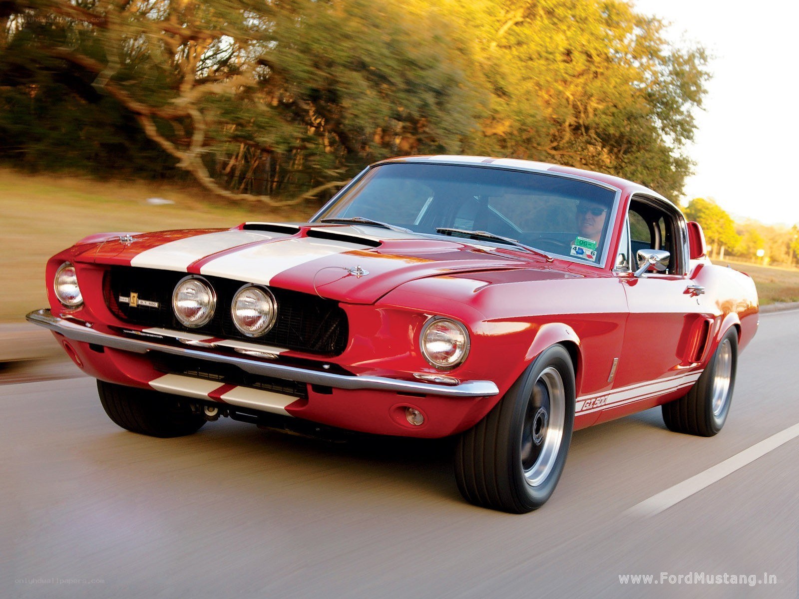 Red classic Mustang on road