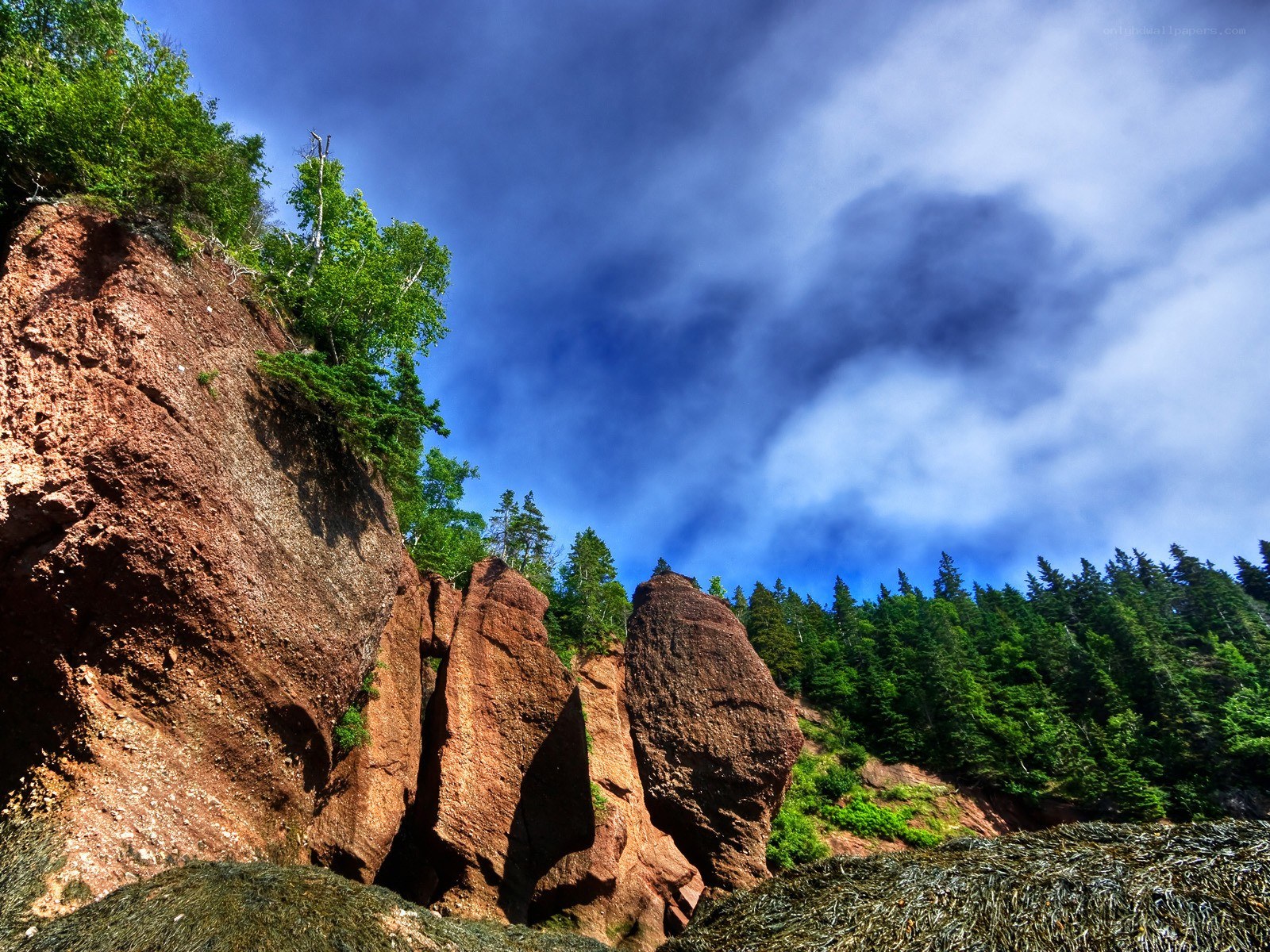 Red cliffs and forest under blue sky