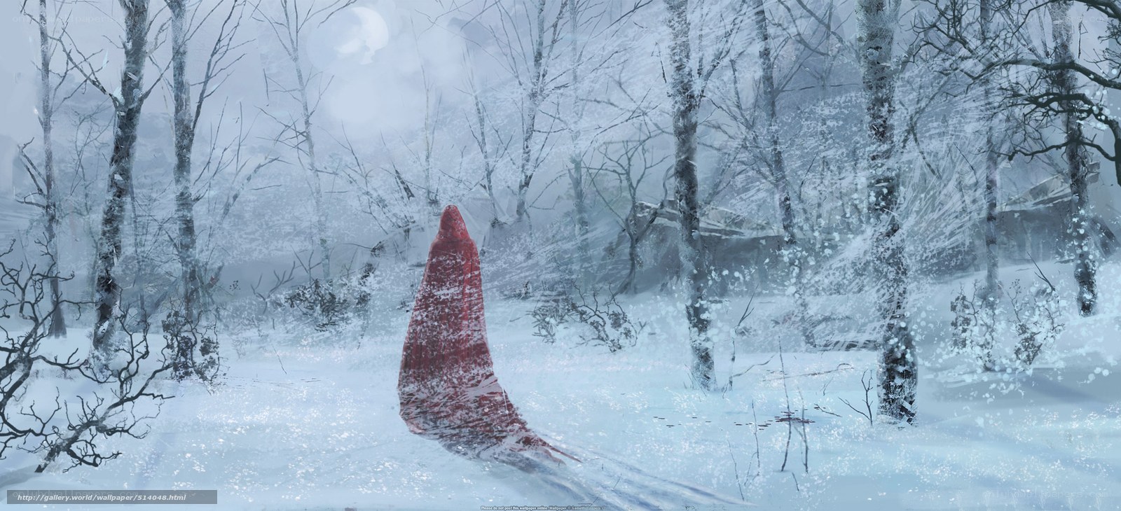 Red Cloak in Snowy Forest