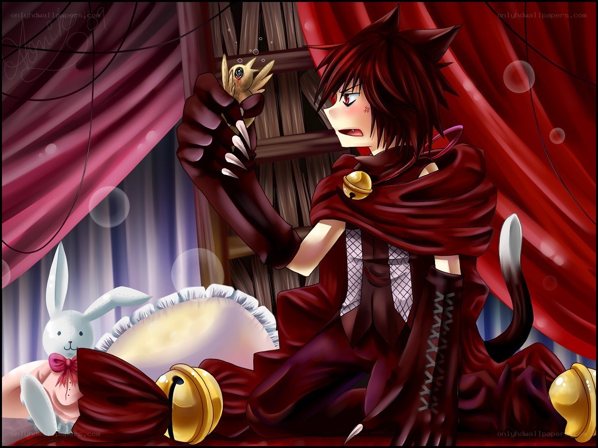 red-cloaked character with bird