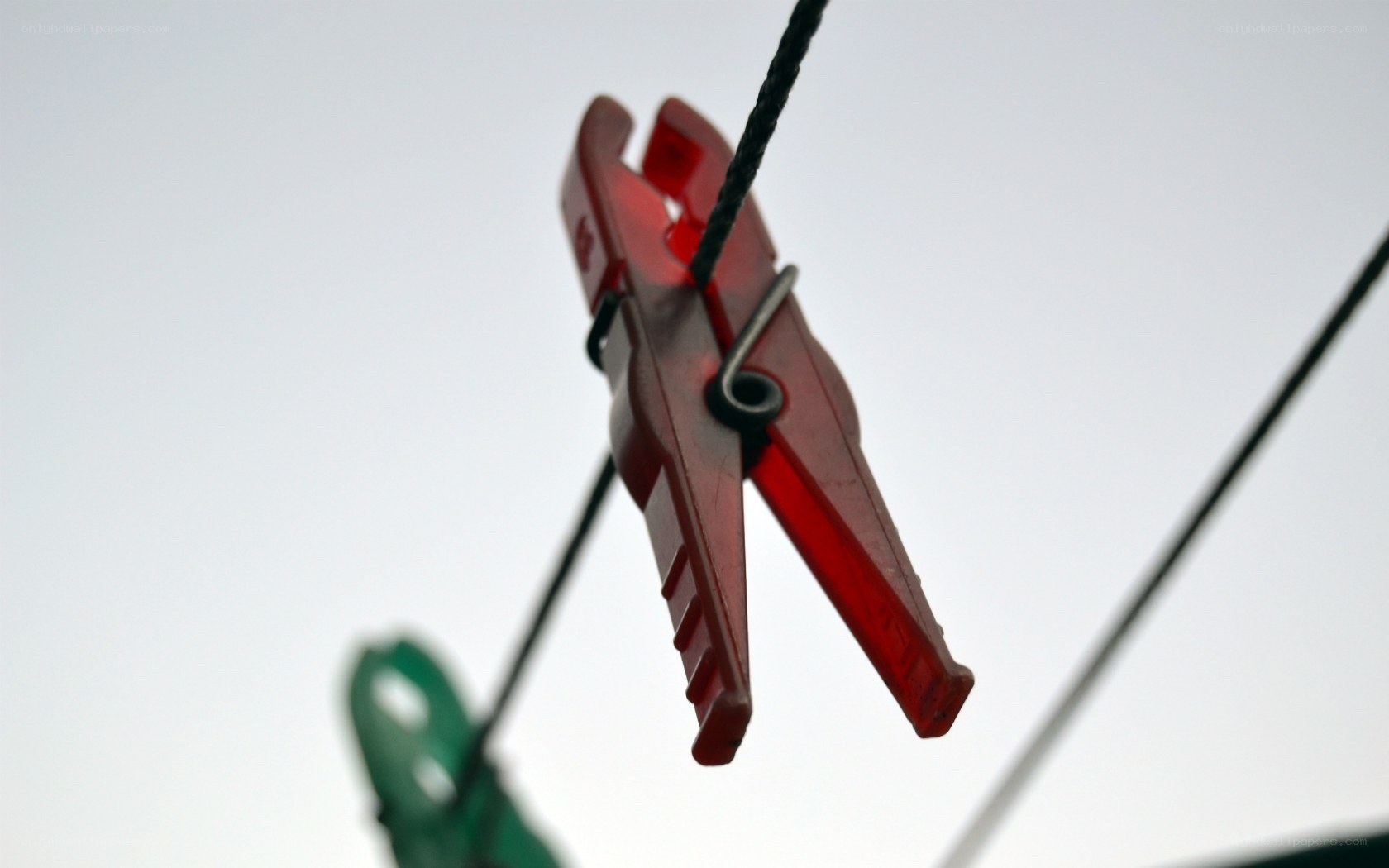 red clothespin on a line