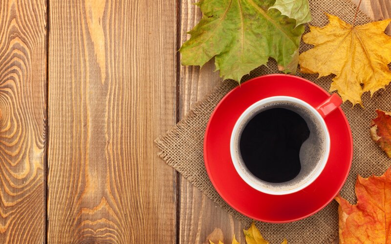 Red Coffee Cup on Wood — Brown