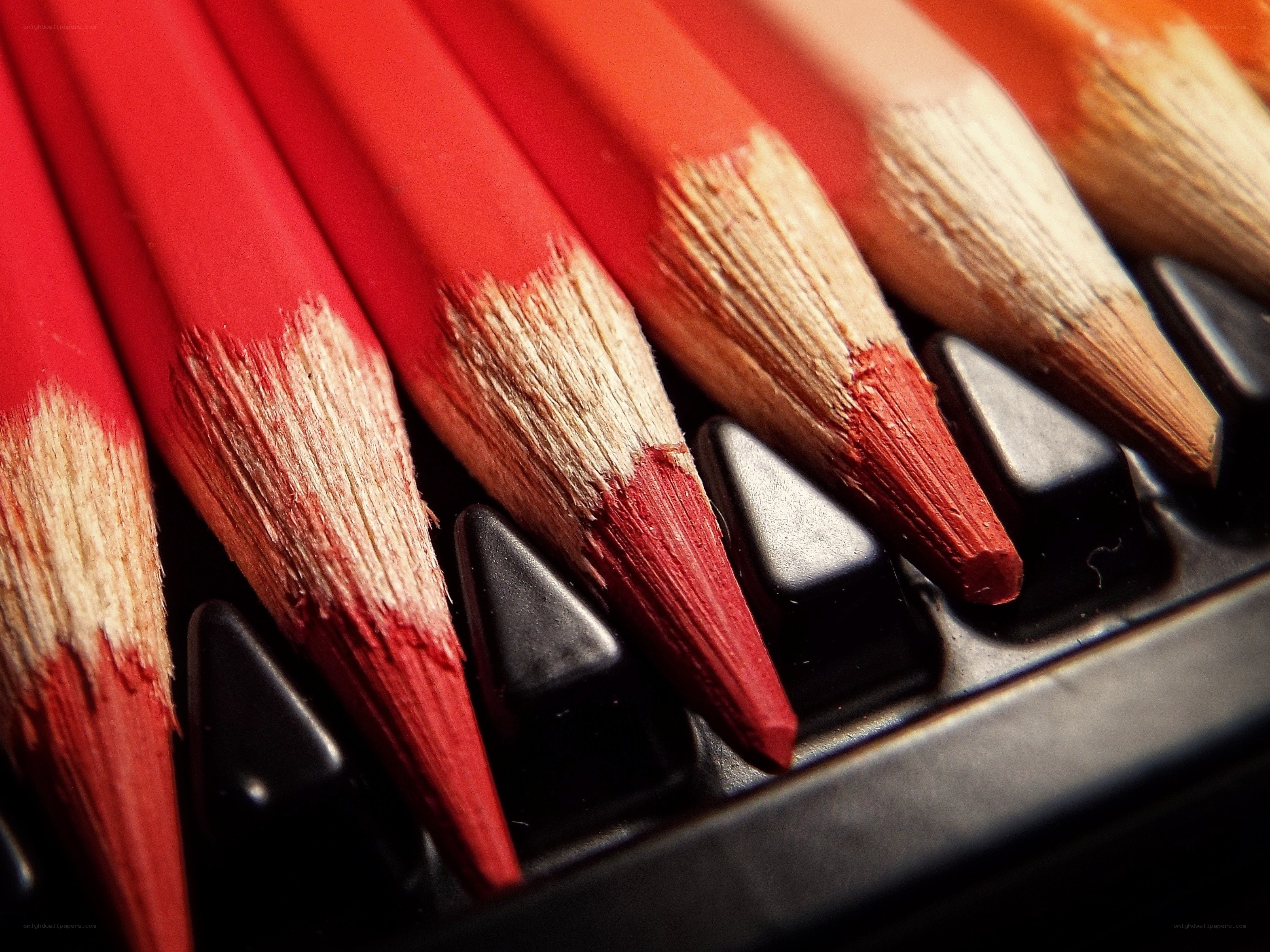 Red colored pencils in a case