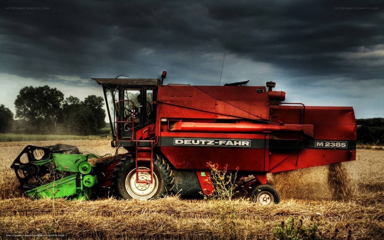 Red combine harvester in field