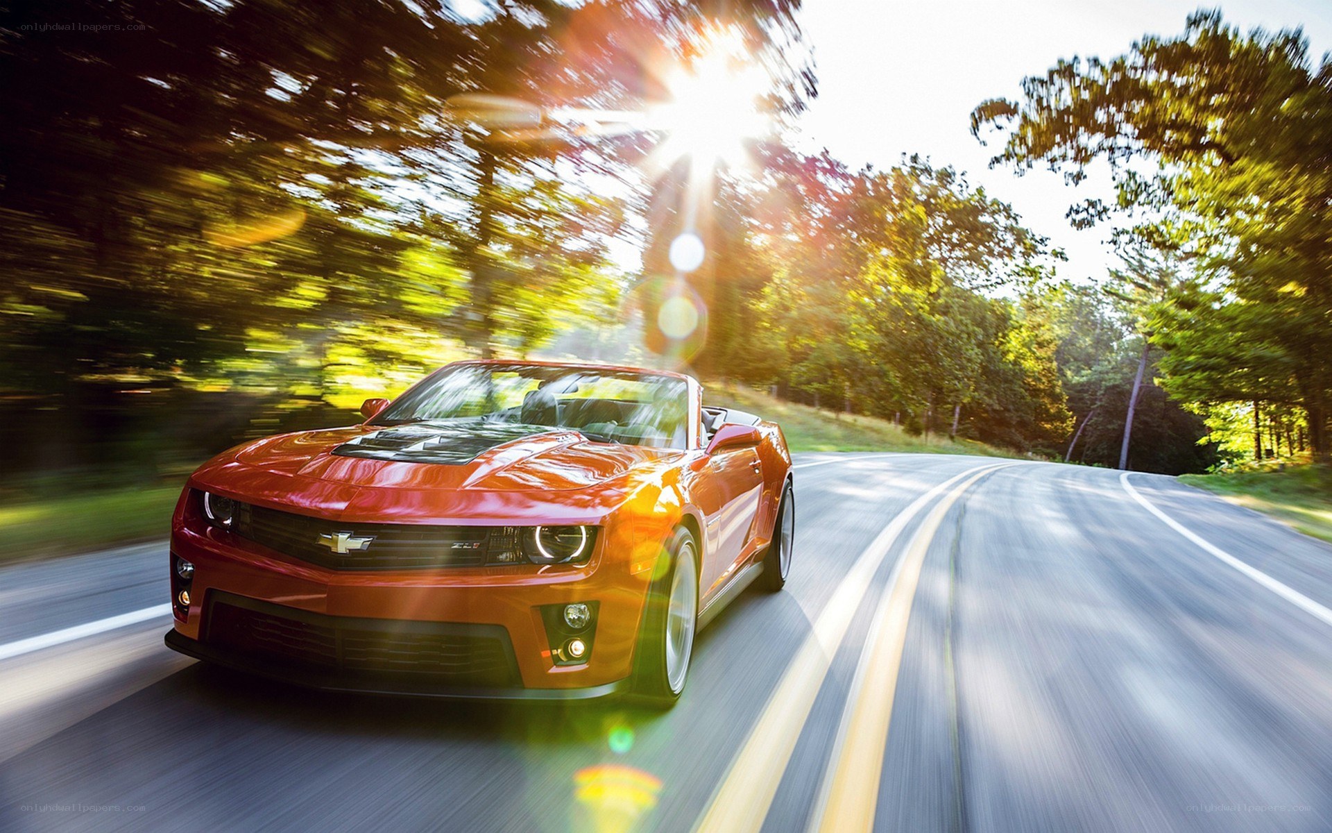 Red convertible on a forest road