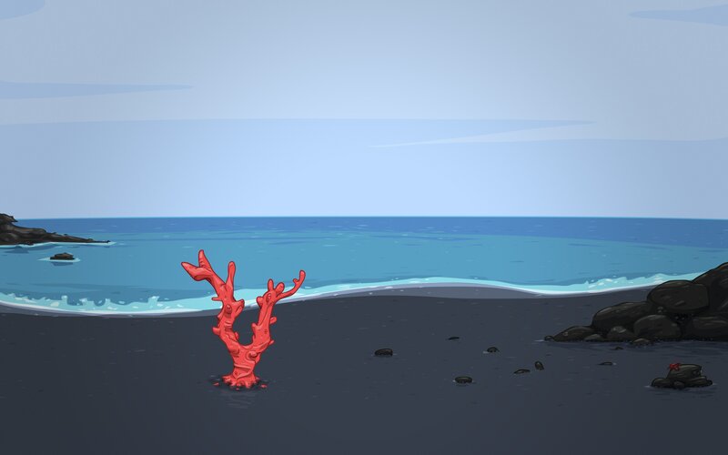 Red Coral on Beach
