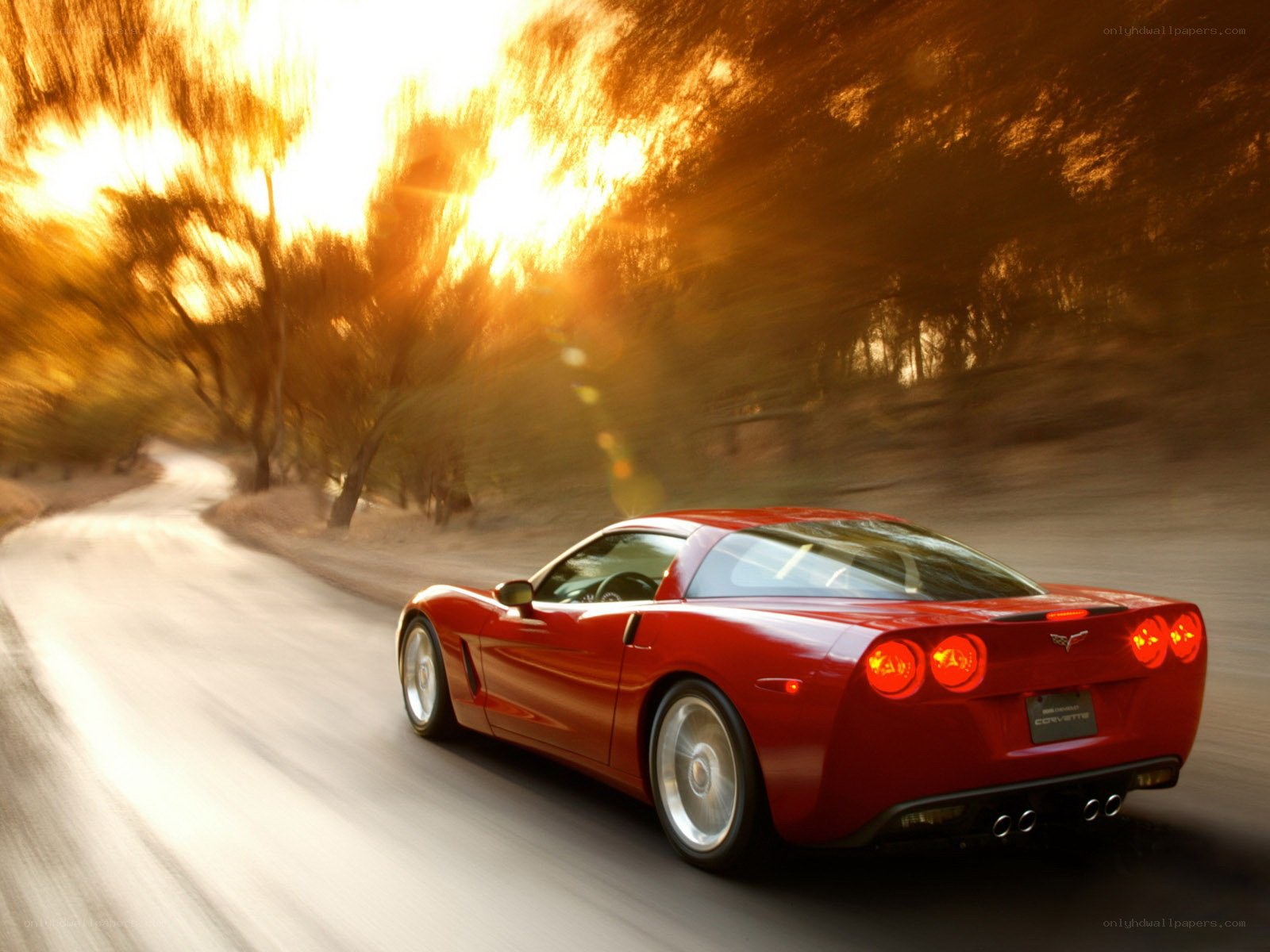 Red Corvette driving on a road