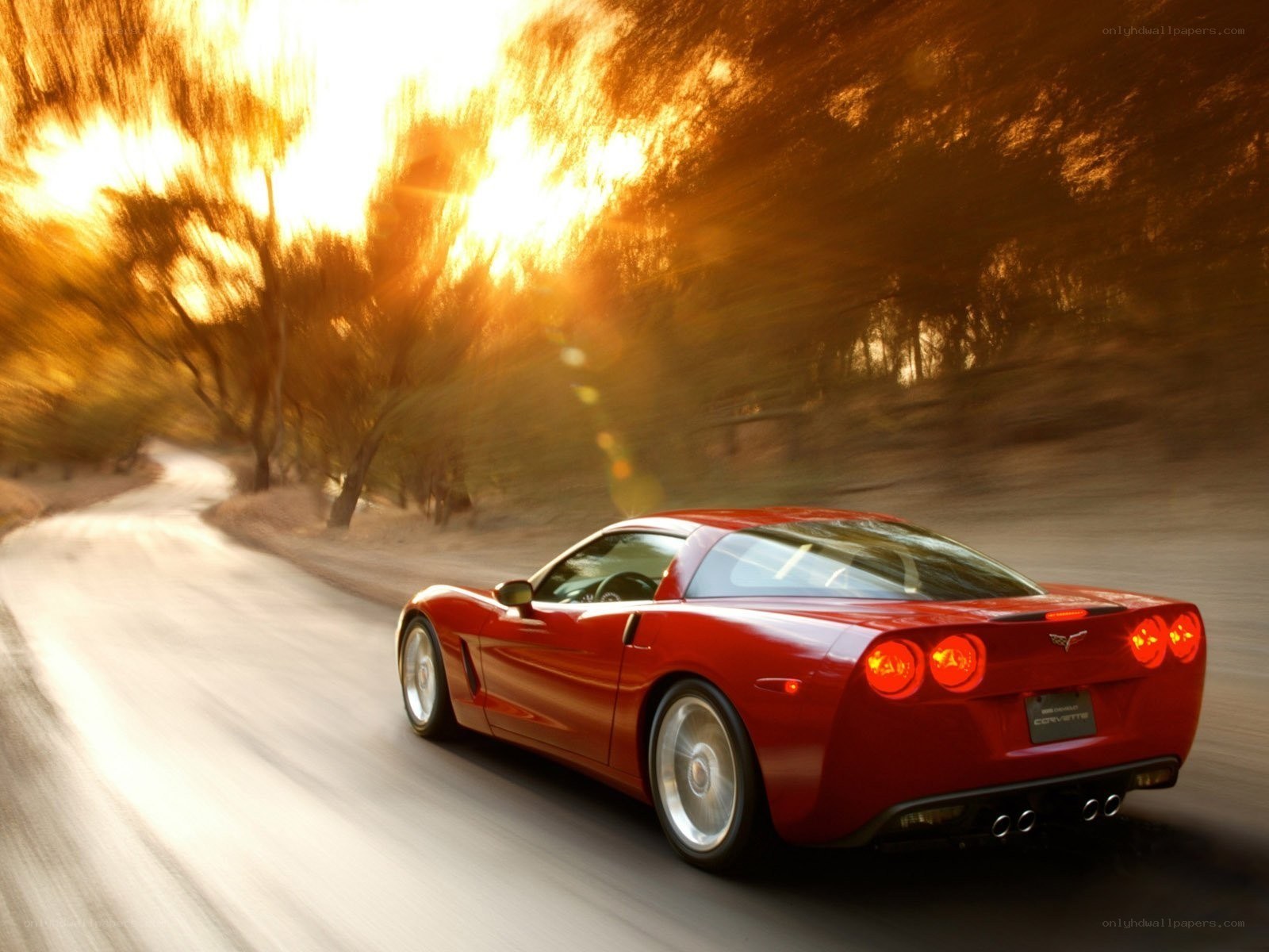 Red Corvette driving on a road