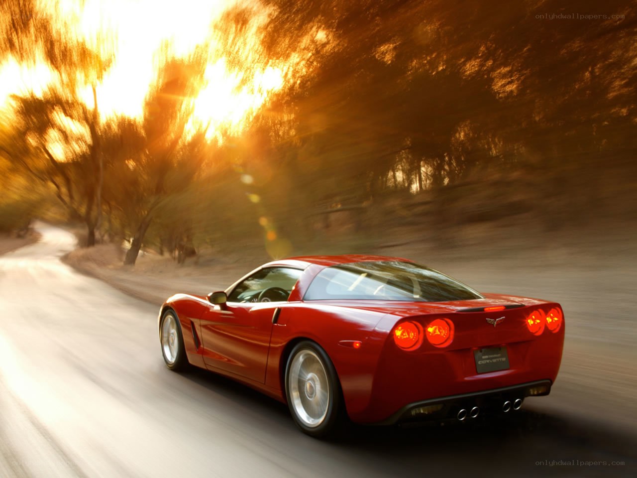 Red Corvette driving on road