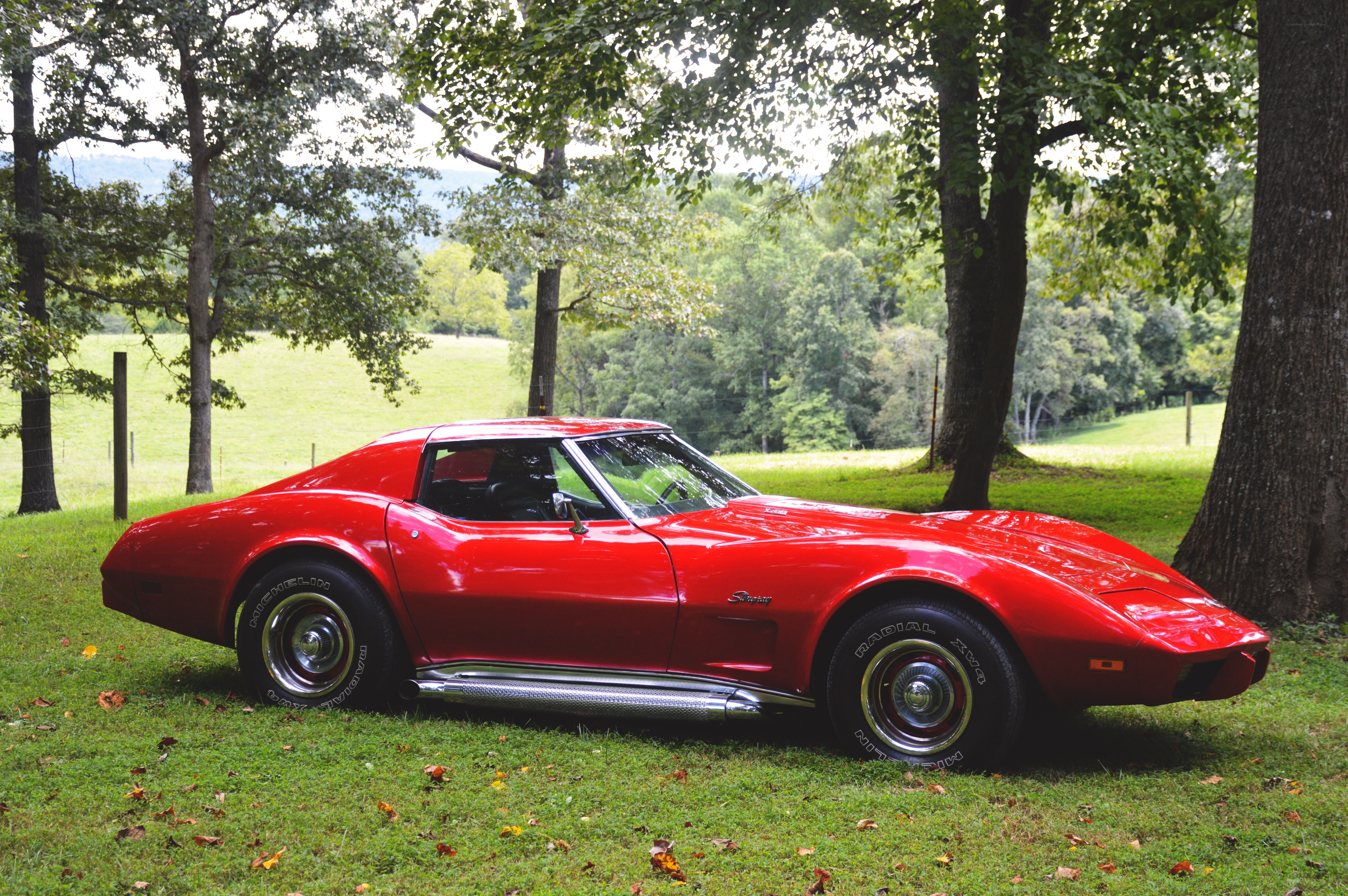 Red Corvette in a grassy field