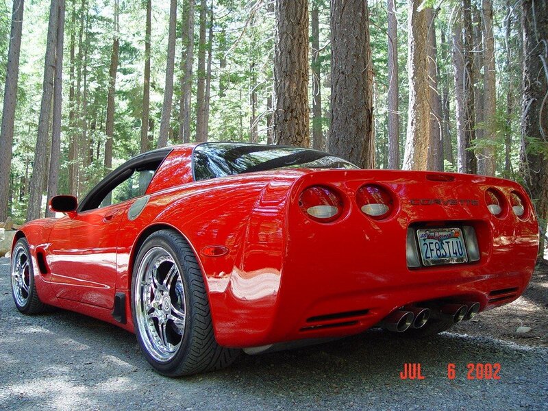 Red Corvette in Forest