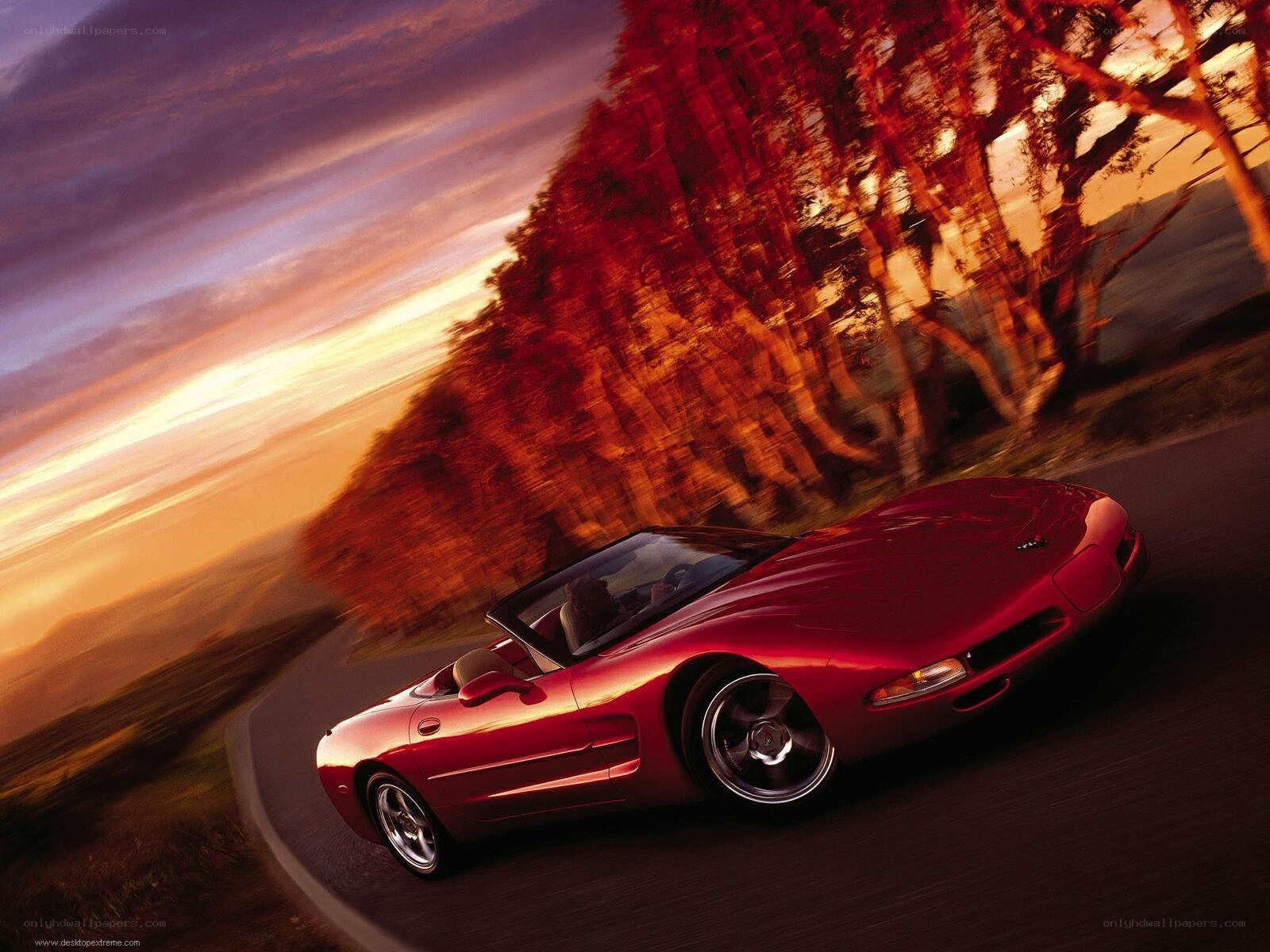 Red Corvette on a winding road