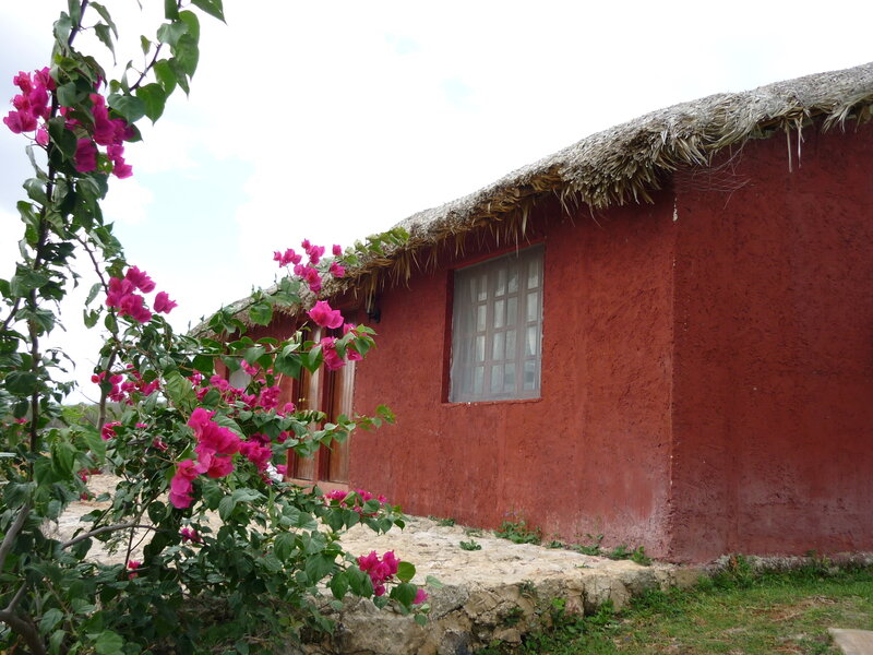 Red cottage with thatched roof