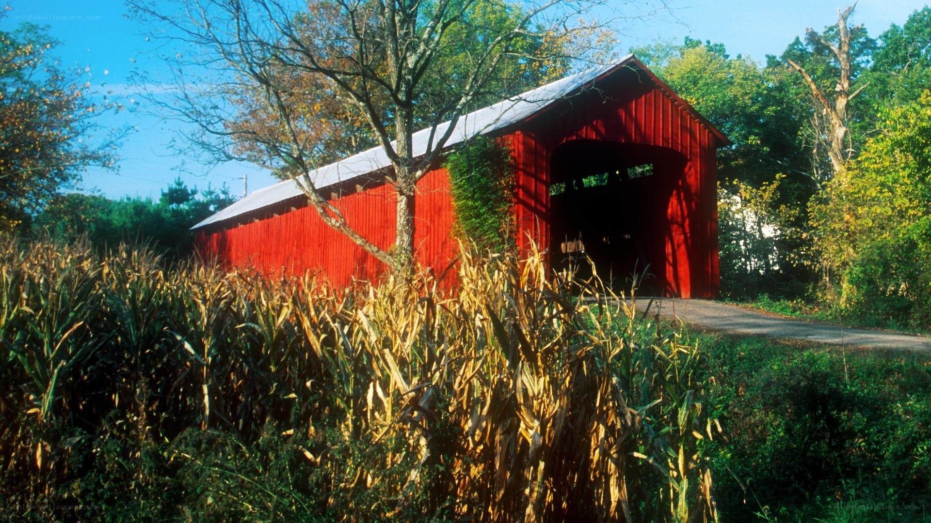 Red covered bridge in autumn