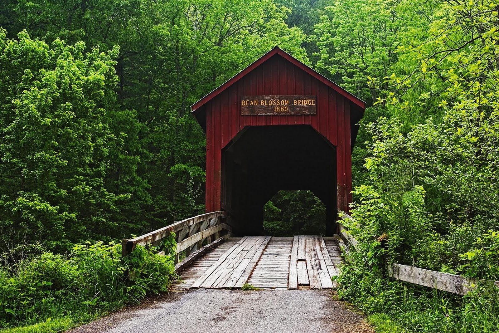 Red covered bridge in forest