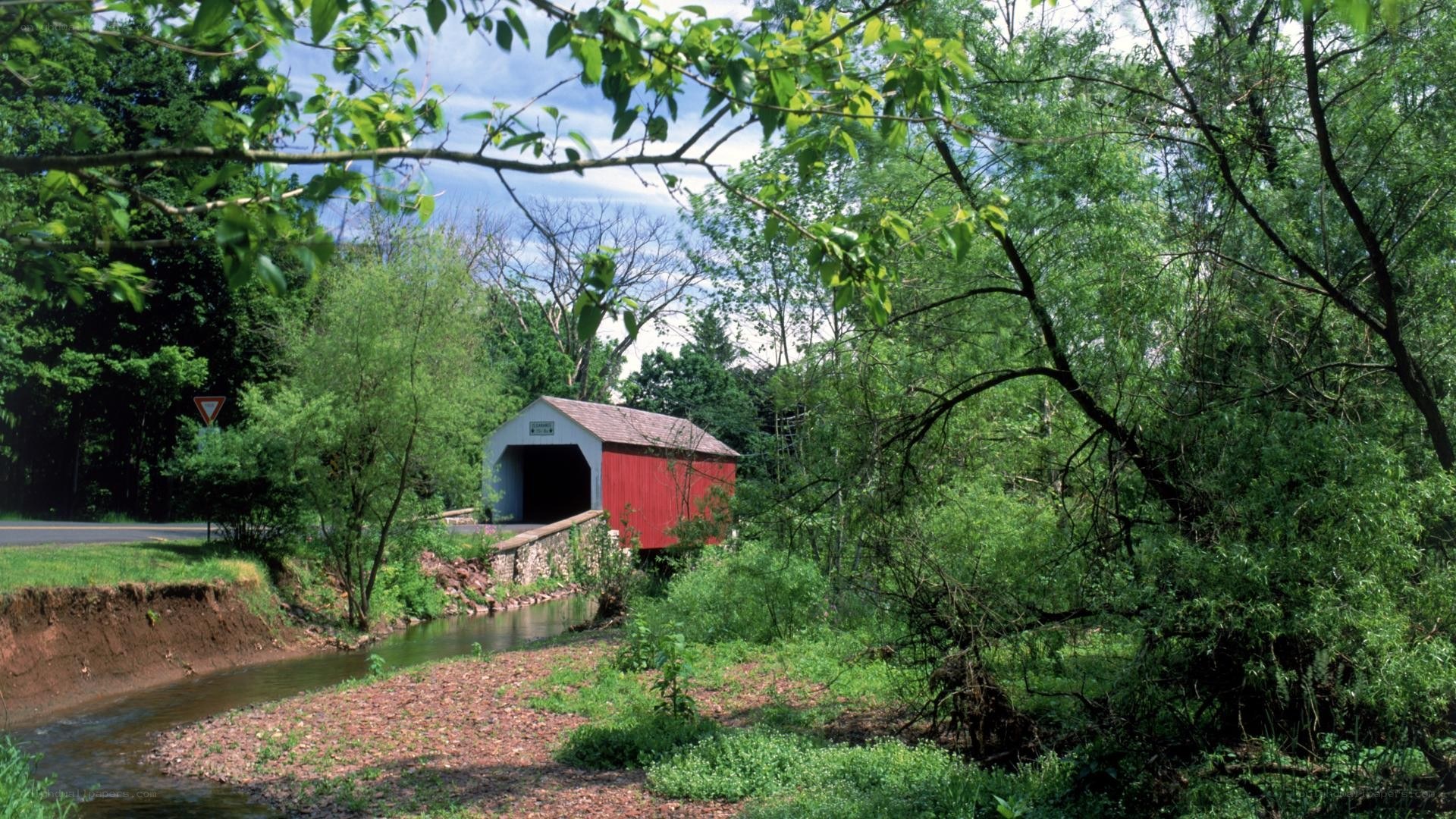 Red covered bridge in forest