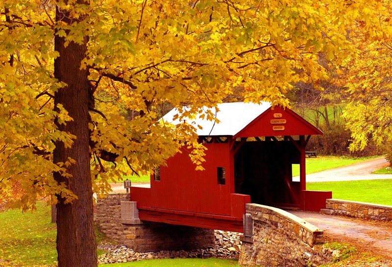 Red Covered Bridge — Serene, Autumn, Photograph, Tree