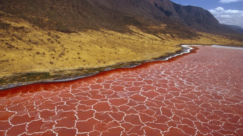 Red Cracked Lake Surface — Arid
