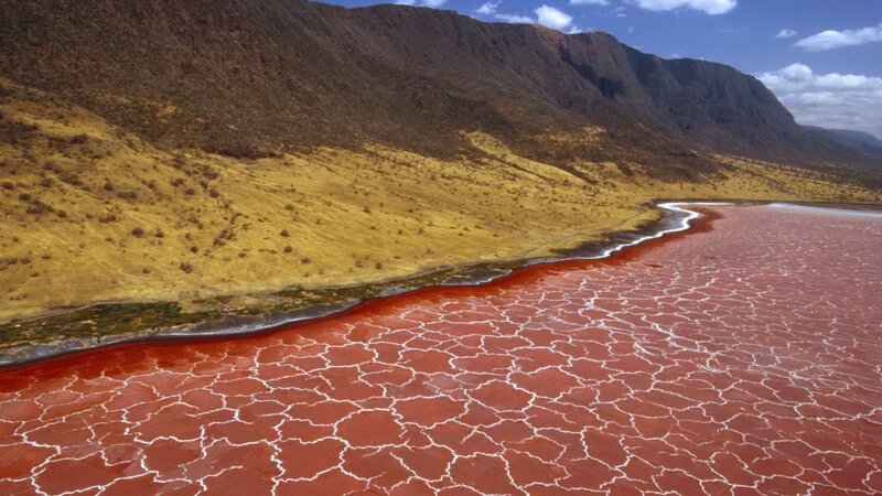 Red Cracked Lake Surface
