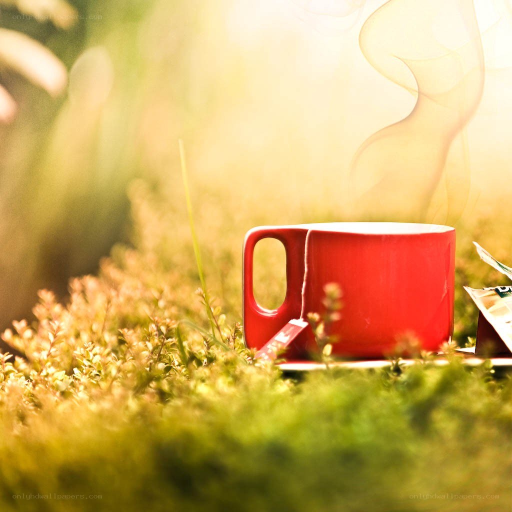 Red cup in grass with steam