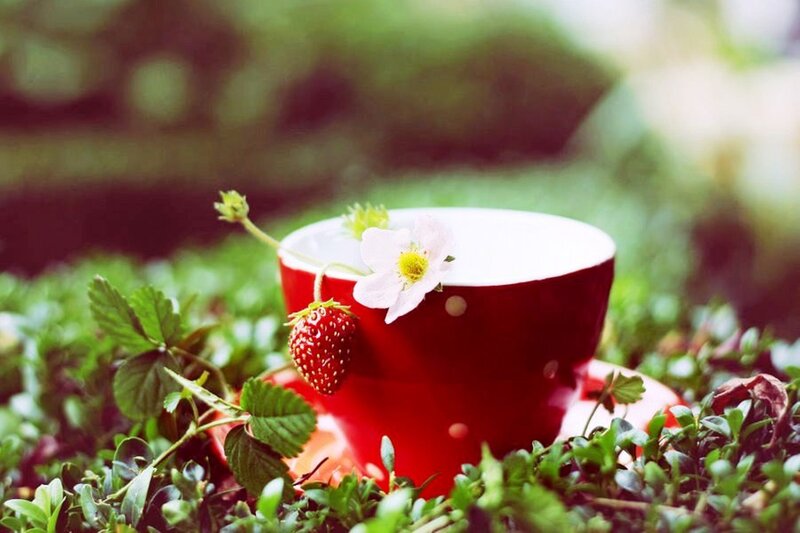 Red Cup with Strawberry