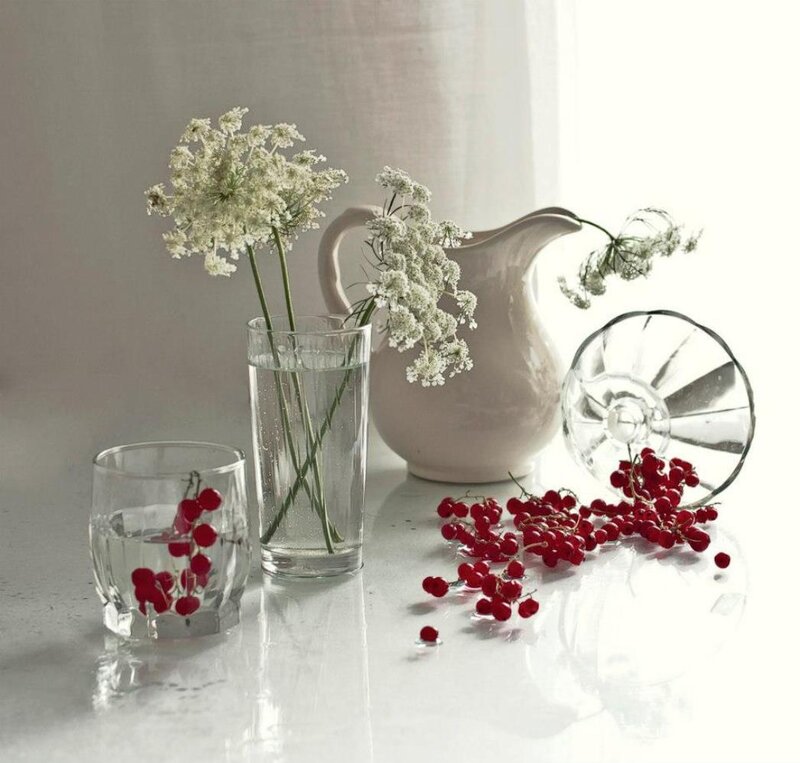 Red Currants and White Flowers
