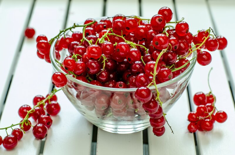 Red Currants in a Bowl — Fresh