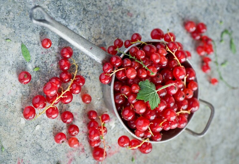 Red Currants in a Bowl — Natural